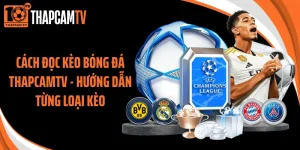Cách Đọc Kèo Bóng Đá Thapcamtv - Hướng Dẫn Từng Loại Kèo